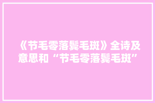 《节毛零落鬓毛斑》全诗及意思和“节毛零落鬓毛斑”的拼音注释