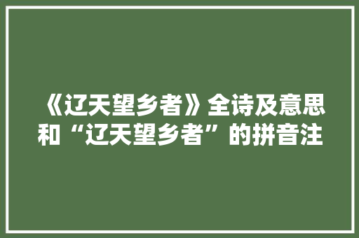《辽天望乡者》全诗及意思和“辽天望乡者”的拼音注释