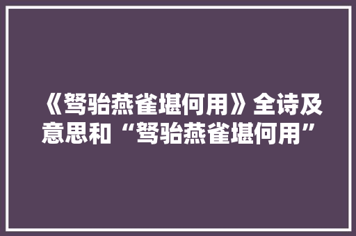 《驽骀燕雀堪何用》全诗及意思和“驽骀燕雀堪何用”的拼音注释