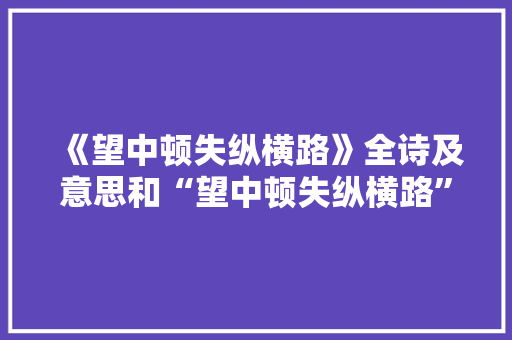 《望中顿失纵横路》全诗及意思和“望中顿失纵横路”的拼音注释