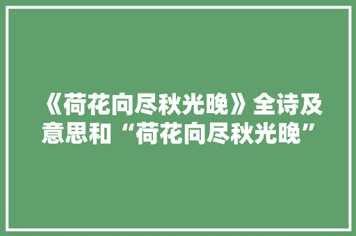 《荷花向尽秋光晚》全诗及意思和“荷花向尽秋光晚”的拼音注释