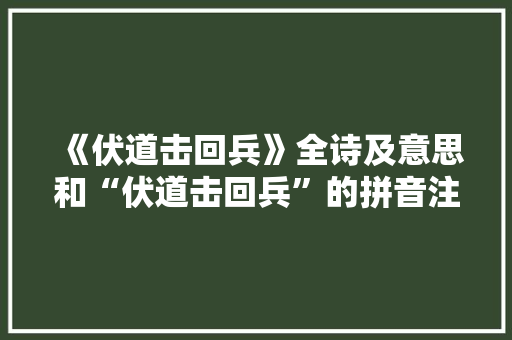 《伏道击回兵》全诗及意思和“伏道击回兵”的拼音注释 诗词鉴赏