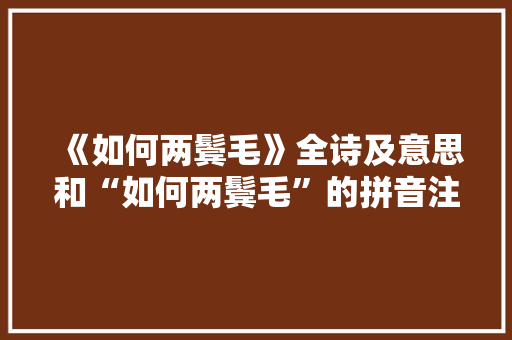 《如何两鬓毛》全诗及意思和“如何两鬓毛”的拼音注释