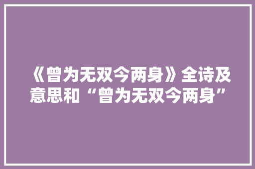 《曾为无双今两身》全诗及意思和“曾为无双今两身”的拼音注释