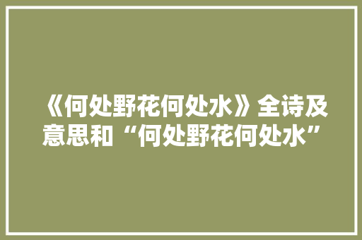 《何处野花何处水》全诗及意思和“何处野花何处水”的拼音注释