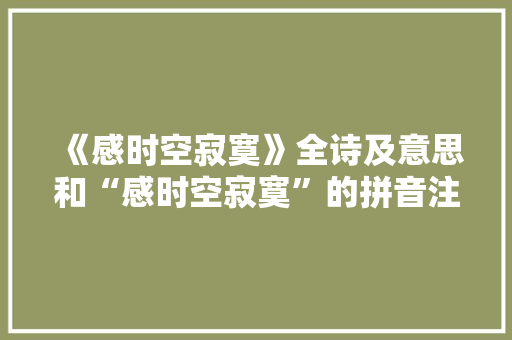 《感时空寂寞》全诗及意思和“感时空寂寞”的拼音注释