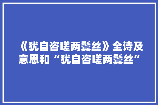 《犹自咨嗟两鬓丝》全诗及意思和“犹自咨嗟两鬓丝”的拼音注释