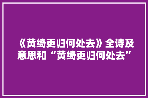 《黄绮更归何处去》全诗及意思和“黄绮更归何处去”的拼音注释 诗词鉴赏