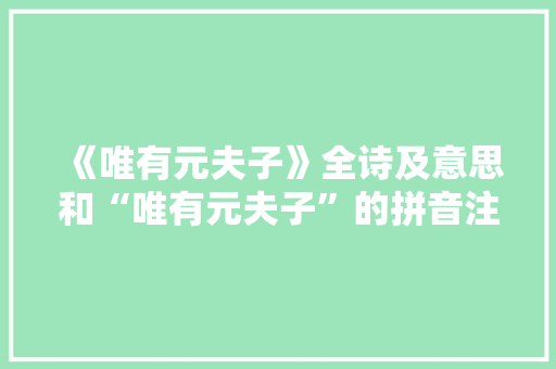 《唯有元夫子》全诗及意思和“唯有元夫子”的拼音注释 诗词鉴赏