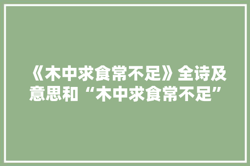 《木中求食常不足》全诗及意思和“木中求食常不足”的拼音注释 诗词鉴赏
