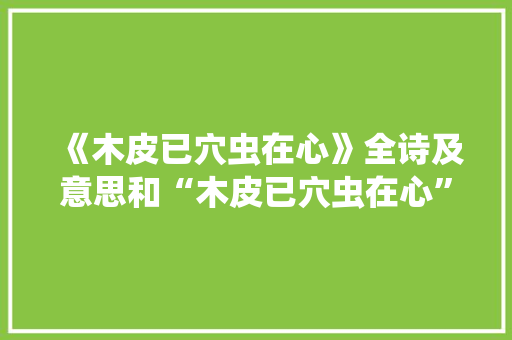 《木皮已穴虫在心》全诗及意思和“木皮已穴虫在心”的拼音注释