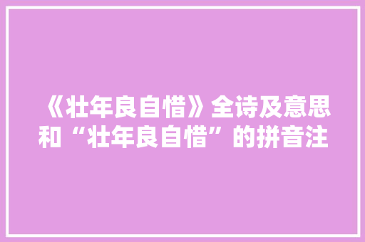 《壮年良自惜》全诗及意思和“壮年良自惜”的拼音注释