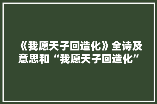 《我愿天子回造化》全诗及意思和“我愿天子回造化”的拼音注释 诗词鉴赏