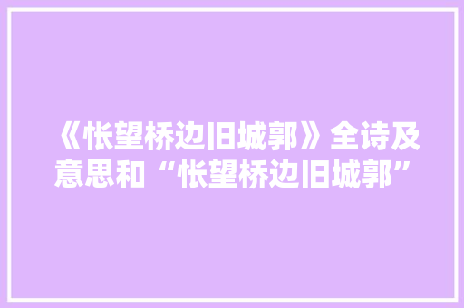 《怅望桥边旧城郭》全诗及意思和“怅望桥边旧城郭”的拼音注释 诗词鉴赏