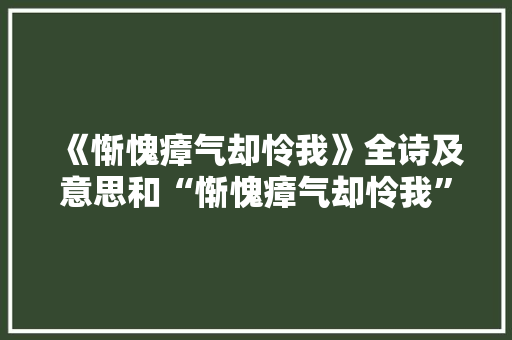 《惭愧瘴气却怜我》全诗及意思和“惭愧瘴气却怜我”的拼音注释
