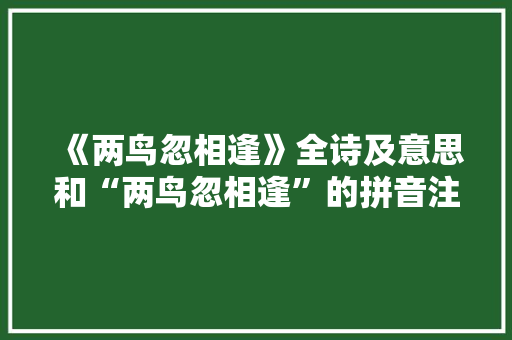 《两鸟忽相逢》全诗及意思和“两鸟忽相逢”的拼音注释