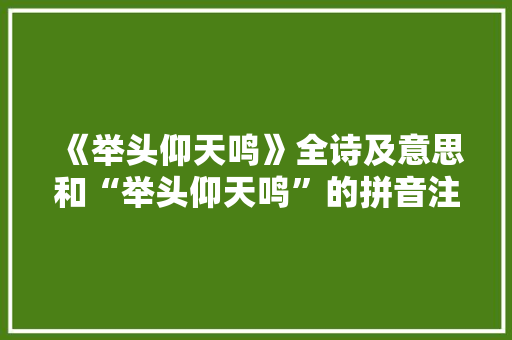 《举头仰天鸣》全诗及意思和“举头仰天鸣”的拼音注释 诗词鉴赏
