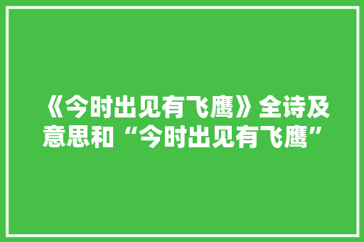 《今时出见有飞鹰》全诗及意思和“今时出见有飞鹰”的拼音注释
