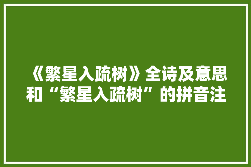 《繁星入疏树》全诗及意思和“繁星入疏树”的拼音注释 诗词鉴赏