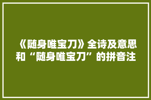 《随身唯宝刀》全诗及意思和“随身唯宝刀”的拼音注释