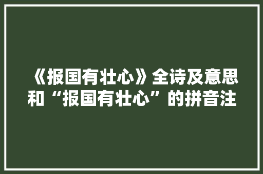《报国有壮心》全诗及意思和“报国有壮心”的拼音注释