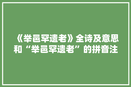 《举邑罕遗老》全诗及意思和“举邑罕遗老”的拼音注释 诗词鉴赏