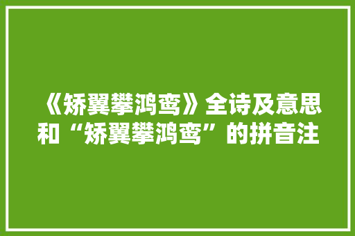 《矫翼攀鸿鸾》全诗及意思和“矫翼攀鸿鸾”的拼音注释 诗词鉴赏