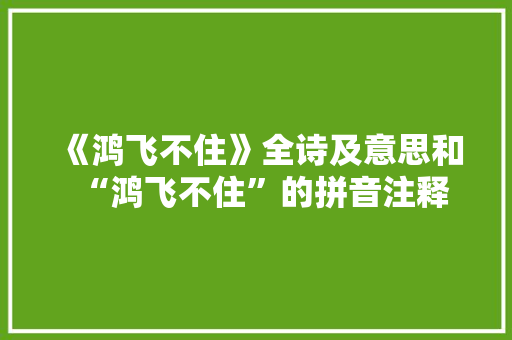《鸿飞不住》全诗及意思和“鸿飞不住”的拼音注释