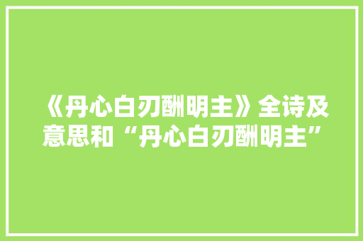 《丹心白刃酬明主》全诗及意思和“丹心白刃酬明主”的拼音注释