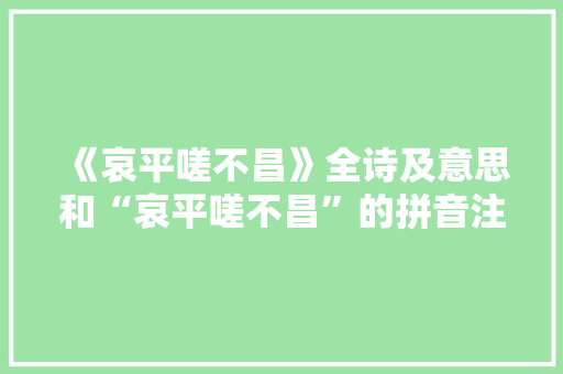 《哀平嗟不昌》全诗及意思和“哀平嗟不昌”的拼音注释 诗词鉴赏