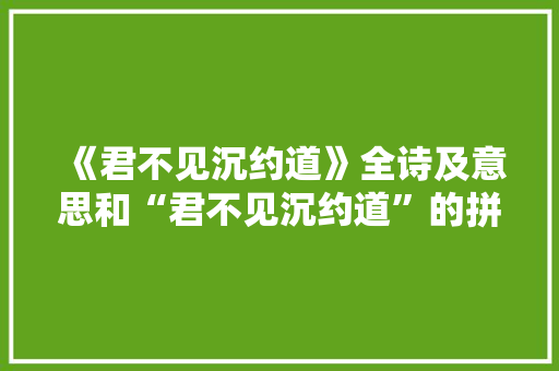 《君不见沉约道》全诗及意思和“君不见沉约道”的拼音注释