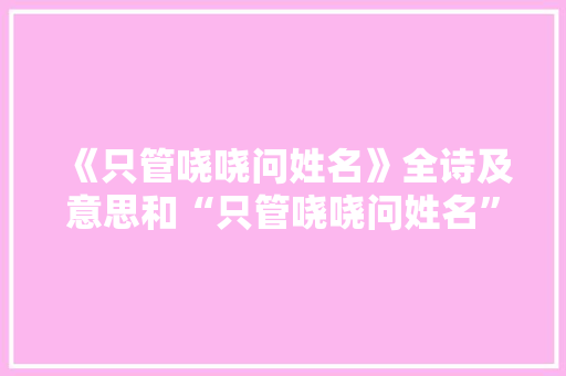 《只管哓哓问姓名》全诗及意思和“只管哓哓问姓名”的拼音注释