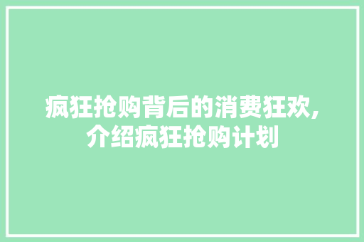 疯狂抢购背后的消费狂欢,介绍疯狂抢购计划