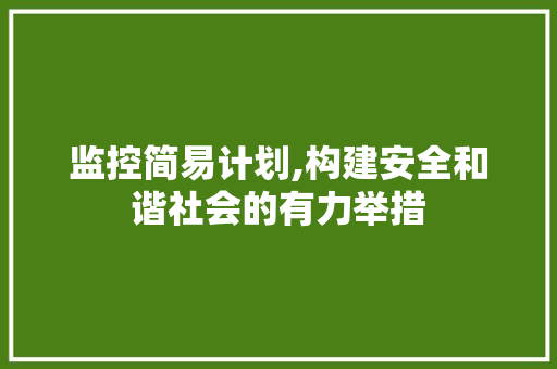 监控简易计划,构建安全和谐社会的有力举措