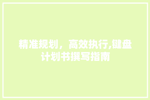 精准规划，高效执行,键盘计划书撰写指南