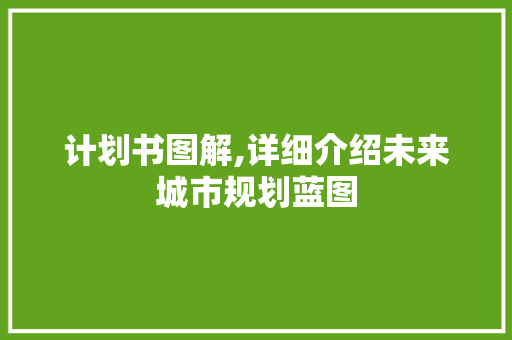 计划书图解,详细介绍未来城市规划蓝图