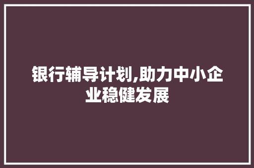 银行辅导计划,助力中小企业稳健发展