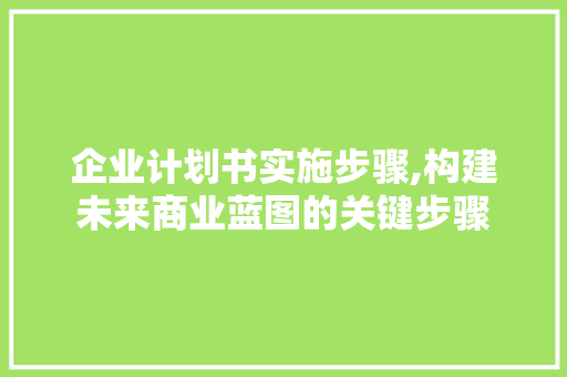 企业计划书实施步骤,构建未来商业蓝图的关键步骤