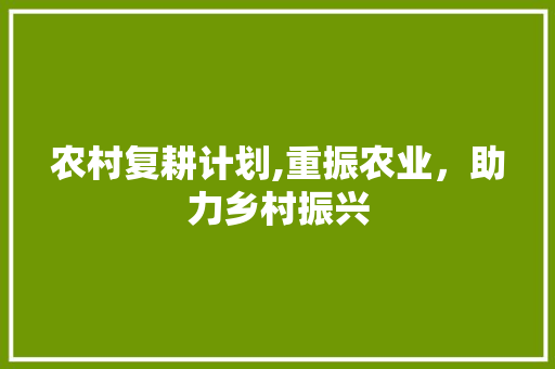 农村复耕计划,重振农业，助力乡村振兴 项目报告