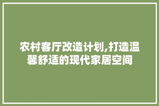 农村客厅改造计划,打造温馨舒适的现代家居空间