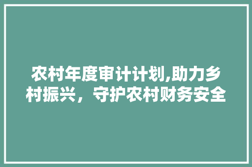 农村年度审计计划,助力乡村振兴，守护农村财务安全