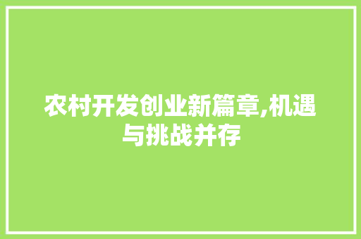 农村开发创业新篇章,机遇与挑战并存