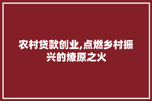 农村贷款创业,点燃乡村振兴的燎原之火