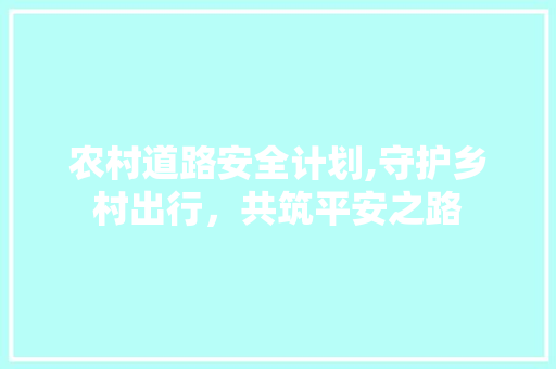 农村道路安全计划,守护乡村出行，共筑平安之路