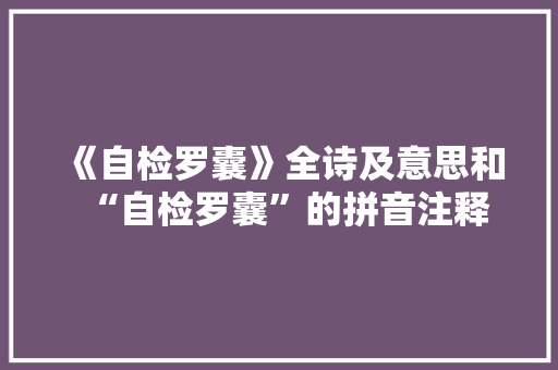 《自检罗囊》全诗及意思和“自检罗囊”的拼音注释