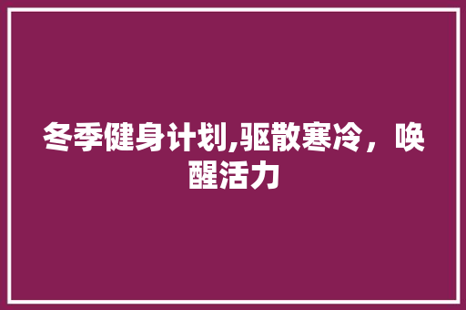 冬季健身计划,驱散寒冷，唤醒活力