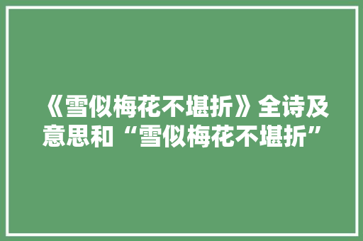 《雪似梅花不堪折》全诗及意思和“雪似梅花不堪折”的拼音注释