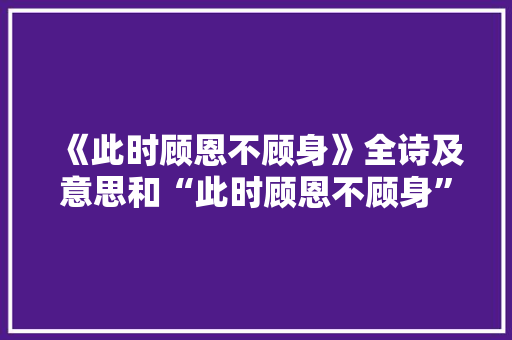 《此时顾恩不顾身》全诗及意思和“此时顾恩不顾身”的拼音注释