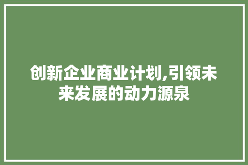 创新企业商业计划,引领未来发展的动力源泉