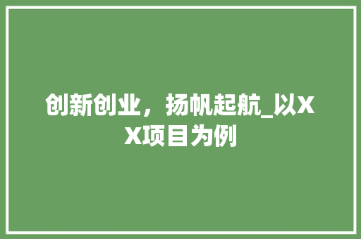 创新创业，扬帆起航_以XX项目为例